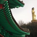 영상칼럼 2005년 1월 20일 목요일 이미지