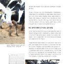 한빛 목장 이미지