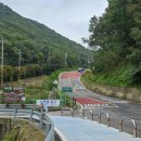 동백1로38번길 | 석모도 수목원 늦가을 단풍 구경 다녀온 후기 인천 강화도 볼거리 가볼만한곳 입장료 주차 휴양림 숙소...