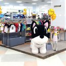 홈플러스의정부점 네이버블로그