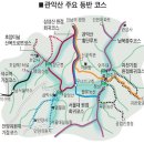 선