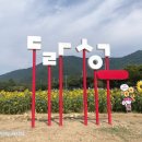 꽃단지 화장실 이미지