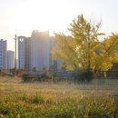 신암공원 이미지