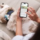 애니멀케어 이미지