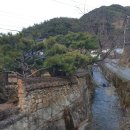 차시배지민박
