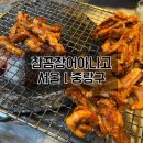 참.꼼장어.아나고