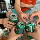 내리계곡 솔밭캠핑장 이미지