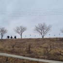 부강목장 이미지