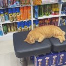 상우약국 이미지