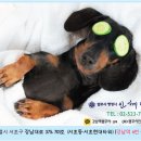 라이프영농조합법인 (라이프영농1태양광발전소) | 농어촌 태양광 설치를 통한 수익 창출 목적_협동조합 설립