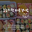민영이네이불 | 5살 6살 공주님을 위한 소풍 도시락 추천템.. 그러나 망한 후기