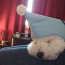 태흥미싱