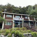 (충북 충주 캠핑) 문성자연휴양림 명당 C4 / 독립된 사이트 / 조용한 캠핑장 솔캠 후기