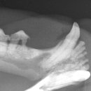 청평우리병원 이미지