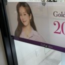 더캐시미어현대아울렛
