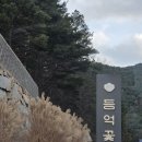 알프스베이커리