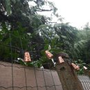 도도민박 이미지