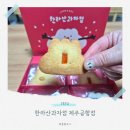 외도초등학교 | 제주 답례품 한라산과자점 제주공항점 퀄리티 좋은 제주도 디저트 선물