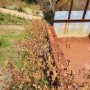 상지농장 이미지