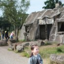 진성목장 이미지