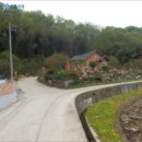 지수면-2 이미지