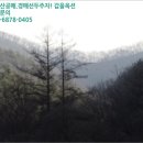 대삼임업 네이버블로그
