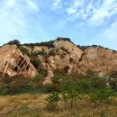 세렝게티 이미지