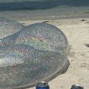 스테이 밤부2 이미지