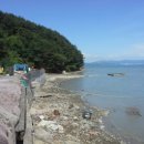 정의무관 이미지