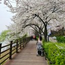 평정리 저수지 화장실 2 | 광교 저수지 맛집 수원 광교산 등산 만원 보리밥 정식 내돈내산 후기