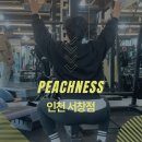 피치니스 이미지