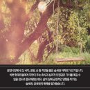 부동산이 ‘녹색지대’에 빠지는 이유 이미지