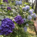 한샘약수터 이미지