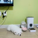 최광호동물병원 이미지