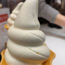 여양목장 네이버블로그