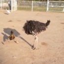 박성준 농장 이미지