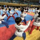 대률초등학교 이미지