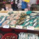 정다운수산
