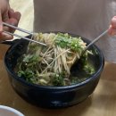 세아모피 | 요모조모 주간일기 6 [잘 놀고 잘 먹는 게 최고지]