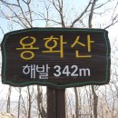 소룡농장 Daum카페
