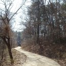 금광호수 이미지