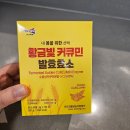 황금빛식품 | 진도강황연조합법인 황금빛 커큐민 발효효소 후기