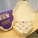 대선로2 이미지