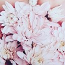 에스라인뷰티샵 - 군산시 | 에스라인뷰티샵