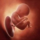 [공지] 소중한 사람에게 주는 선물 &#34;어싱 이불 &amp; 베개&#34; 후기 [ 임산부 전자파차단방법 ]