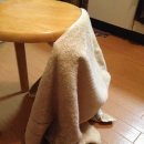 세마 사슴 이미지