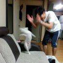 3월 춤 정산