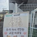 스타일 독-진교애견샵 | 표선 애견미용 잘하는 제주독앤캣 추천
