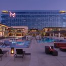 HOTEL M(호텔 엠) 이미지
