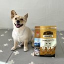 (주)지에스넷비전 | 캐나다사료 아카나 프레이리 폴트리 기호성 좋은 강아지사료